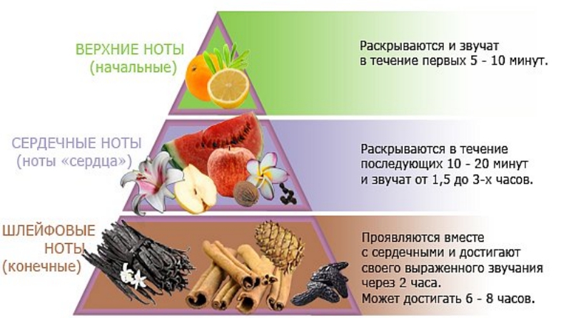 Парфюмерная пирамида